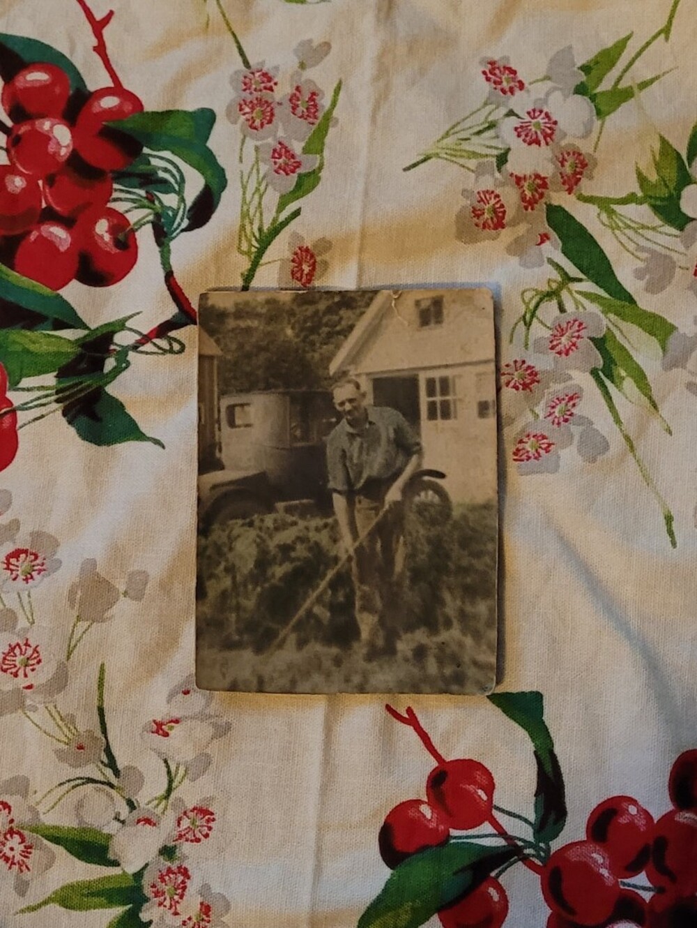 Vintage Colorized Photo Print - Man Gardening